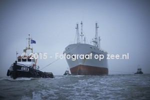 https://www.fotograafopzee.nl/media/images/intro/anita_0464.jpg